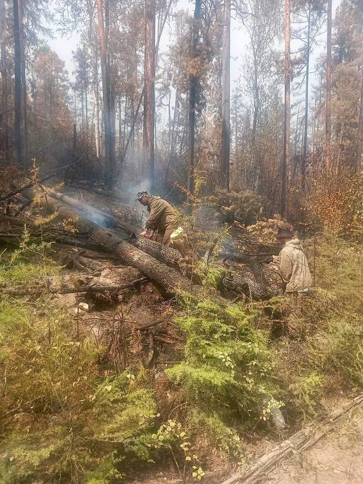 В Бурятии тушат более 40 пожаров в тайге