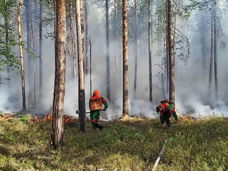 В ЯНАО горят больше 20 гектаров леса