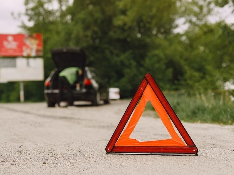 В Алтайском крае за неделю произошло 49 ДТП, 15 детей пострадали