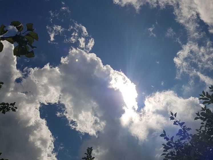 В Подмосковье температура сегодня будет чуть выше нормы климата