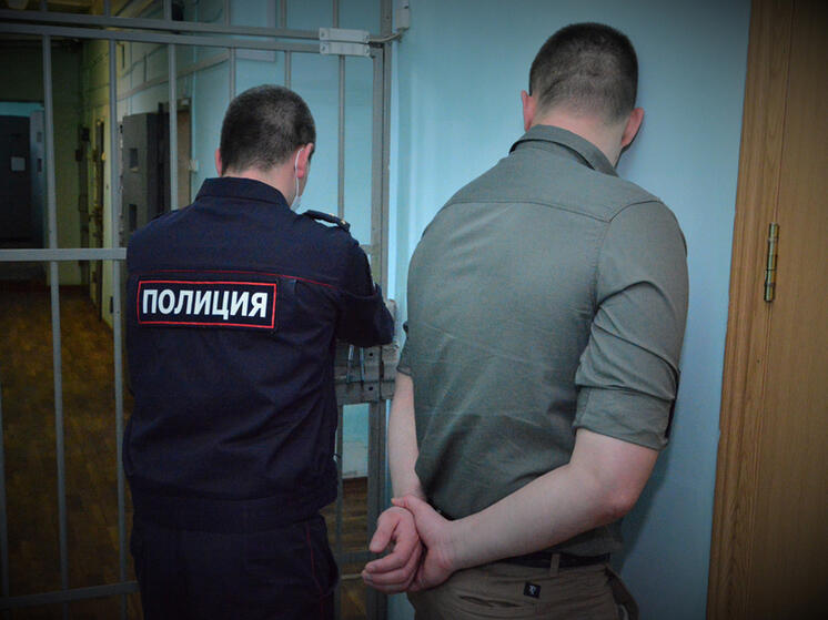 В Пензенской области брат ударил брата камнем по голове