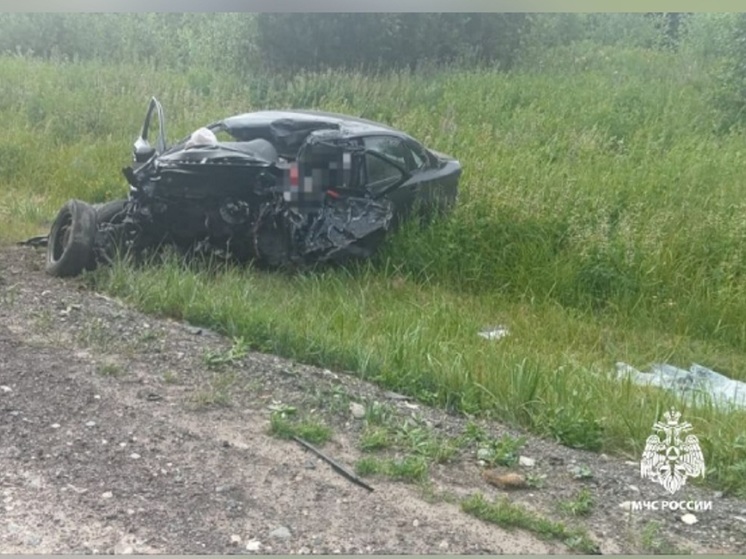 В Ярославской области в аварии пострадали дети