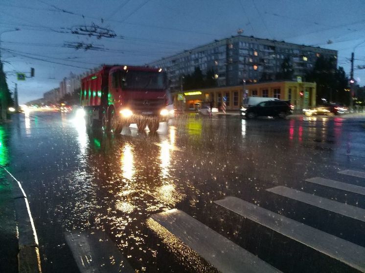 В Ленинградской области из-за грозы пострадали 3 человека