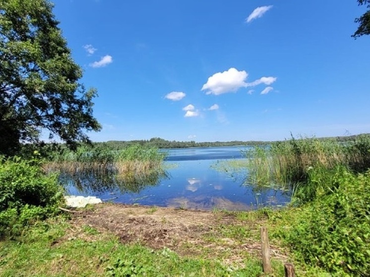 Тело петербурженки нашли в озере Бежаницкого района