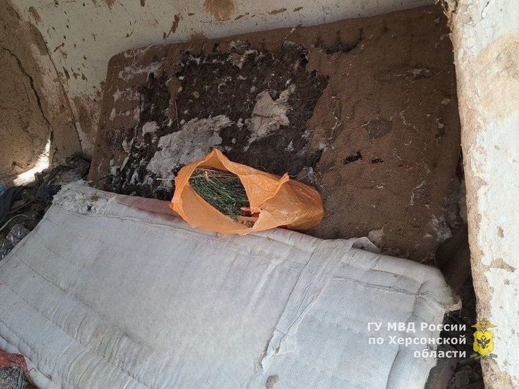 Жителя Новотроицкого округа подозревают в незаконном хранении марихуаны