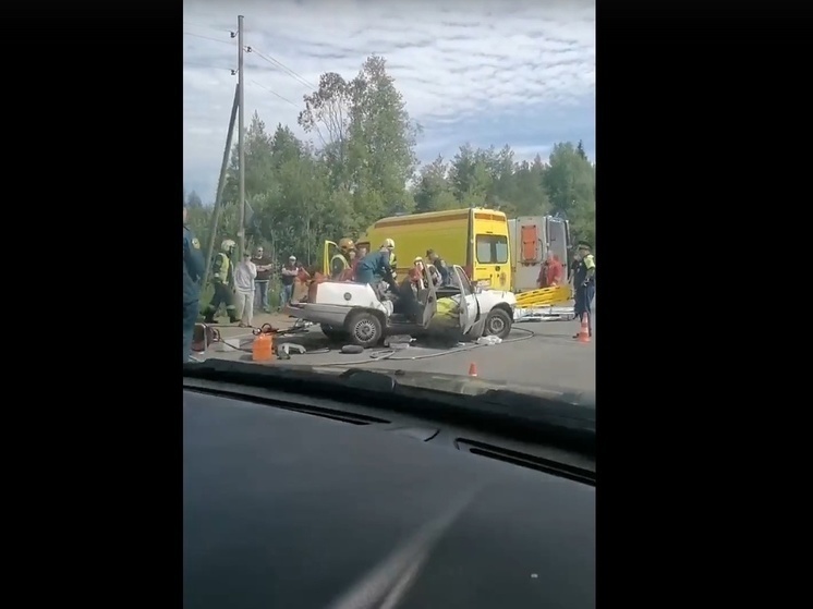 ГИБДД Петрозаводска рассказала, кого вырезали спасатели из машины после ДТП