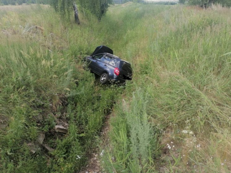 В Челябинской области водитель погиб, угодив в кювет