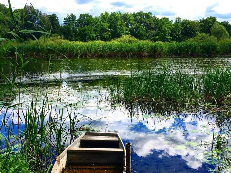 Нудисты в лодке возмутили воронежцев, отдыхающих на реке