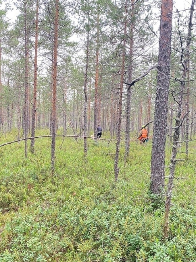 Поисковики в Карелии в День семьи привели потерявшуюся в лесу мать к дочери