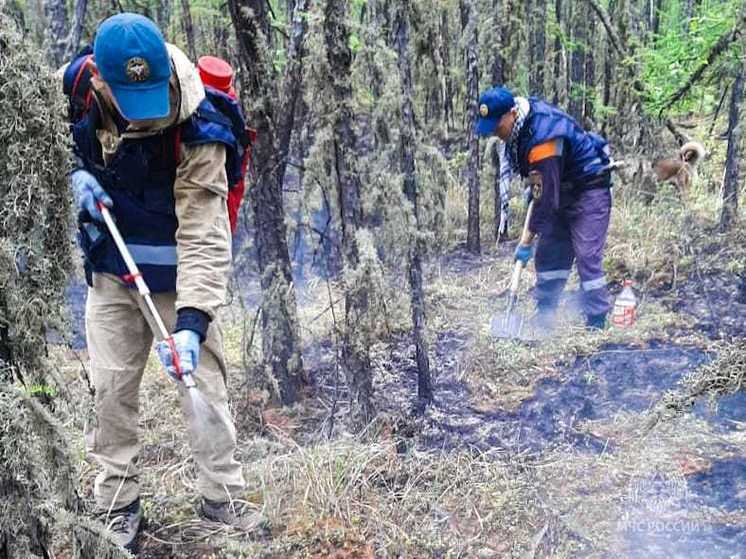   За минувшие сутки в Якутии ликвидировали семь лесных пожаров