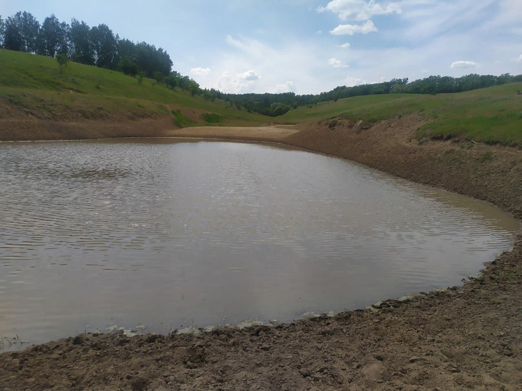 В Курской области обустраивают водопои для диких животных