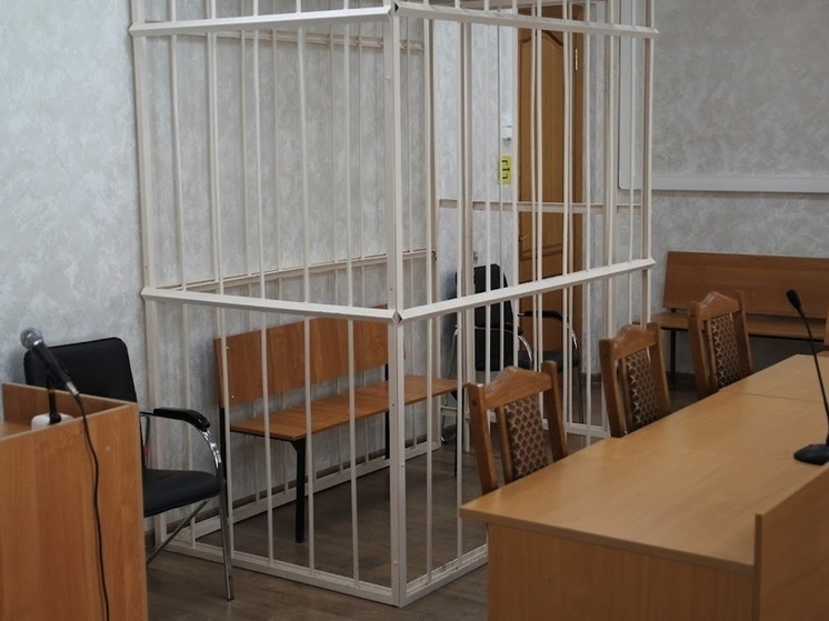 Жительница Плесецкого округа отделалась «условкой» за истязание дочери
