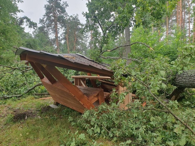 В Бузулукском бору  ураган застал сапбордистов