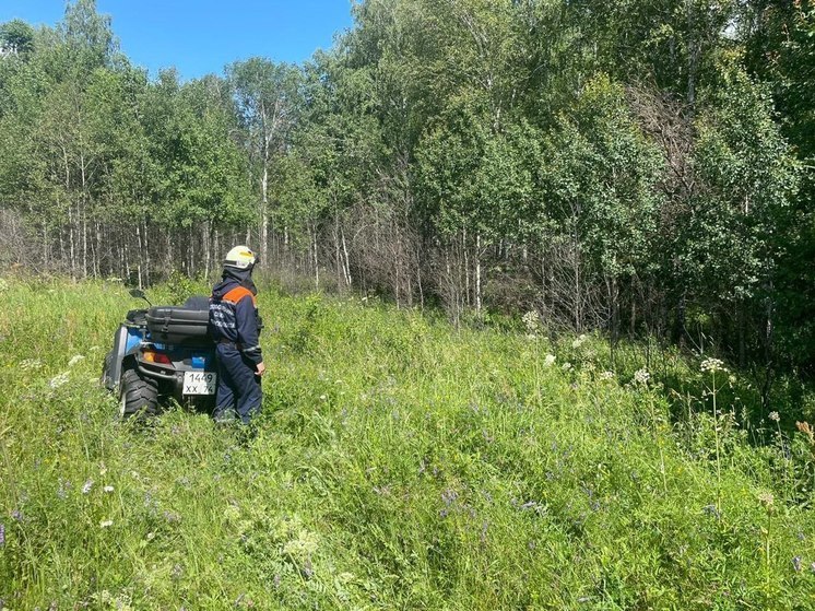 В Кунашакском районе второй день не могут найти пропавшего 73-летнего пенсионера