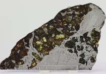 В ГЕОХИ раскрыли тайну образования железо-каменных палласитов  –  помогли антикристаллы 
