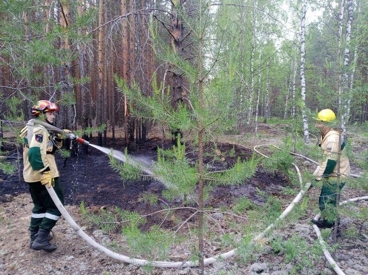 В период с 4 по 7 июля в Марий Эл зарегистрировано 3 лесных пожара