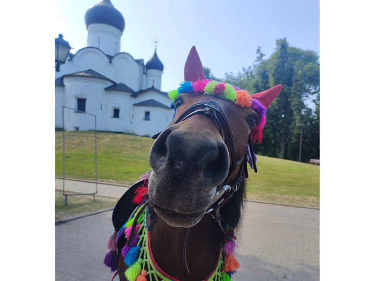 В центре Пскова хотят запретить кататься на лошадях