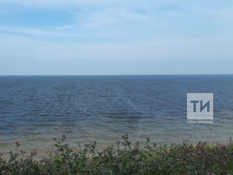 Поплыла за мячом и едва не утонула 6-летняя девочка в Казани
