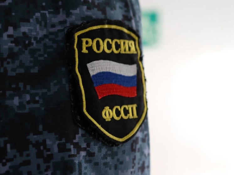 В Новосибирской области военный закрыл полумиллионный долг