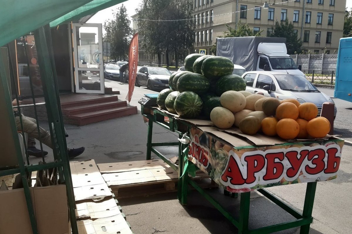 Калининградцам назвали плюсы и минусы употребления арбуза и дыни - МК  Калининград