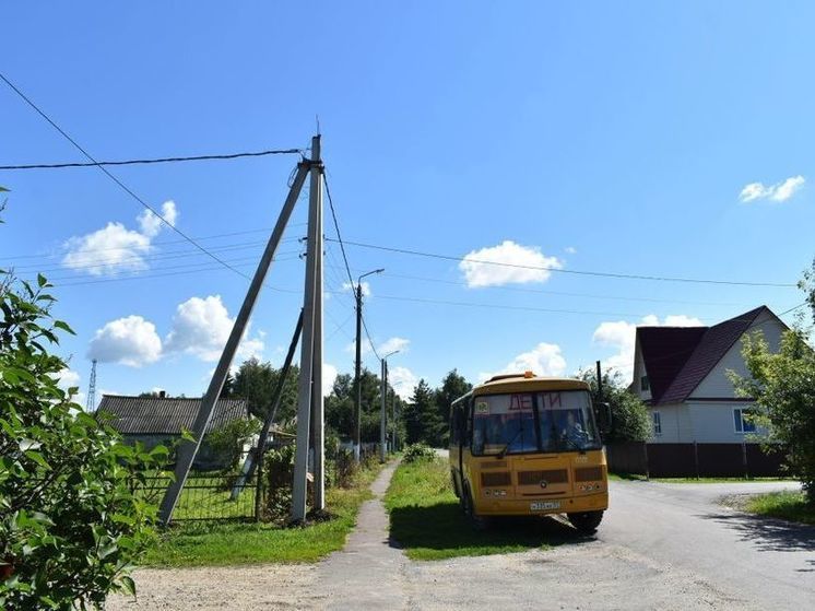 В орловском поселке Змиевка обновили 0,9 км электросетей