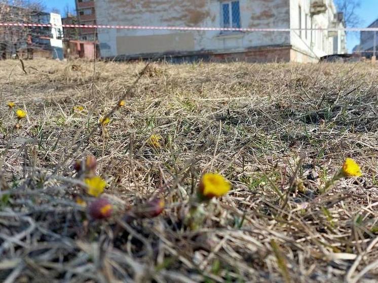 Жителей улицы Весенняя приглашают на встречу