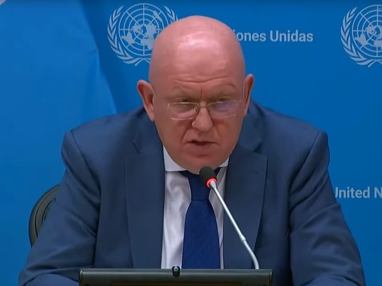 Небензя: Москва ждет реакции от Осло на инцидент в Киеве