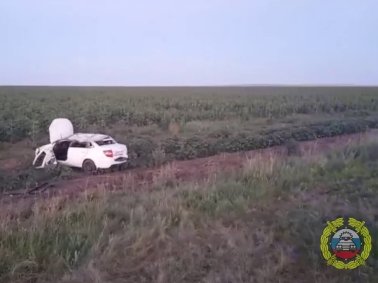 На трассе в Волгоградской области погиб водитель «Лады Гранты»