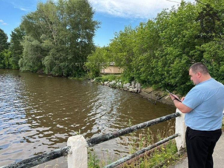 Следком Башкирии выясняет обстоятельства трагедии с ребенком, утонувшим в Белой