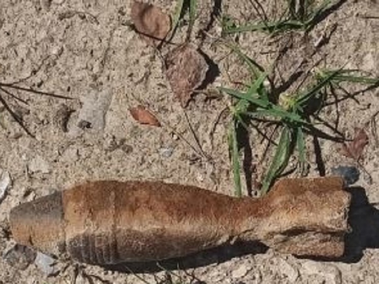 На обочине дороги в Калужской области нашли мину