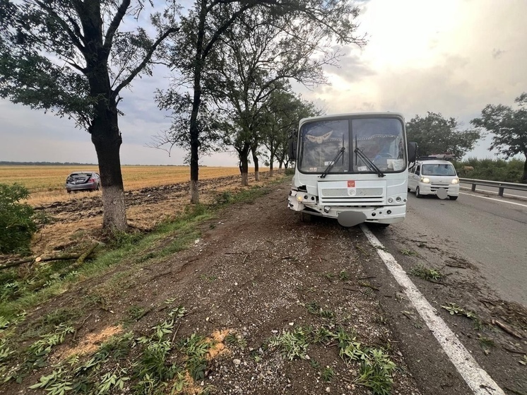 В Абинском районе упавшее на трассу дерево спровоцировало 2 ДТП