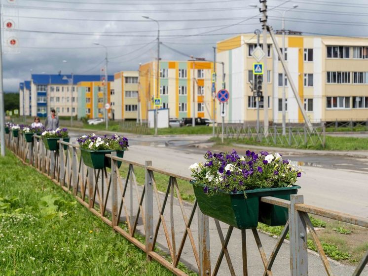 На улицах Дальнего появились десятки кашпо с сурфиниями