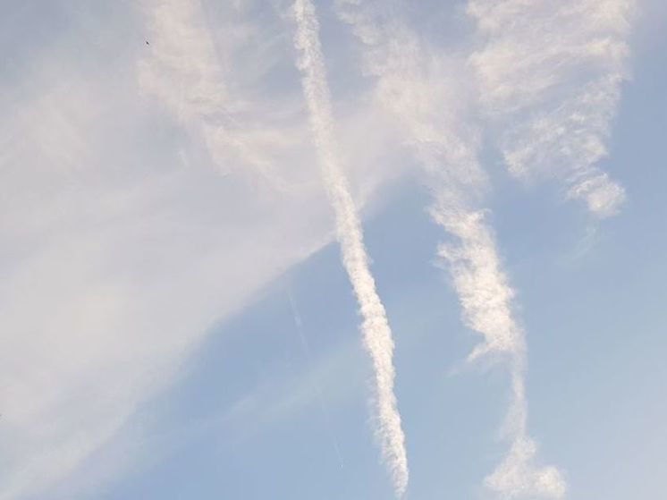 Сегодня температура в регионе будет полностью соответствовать норме