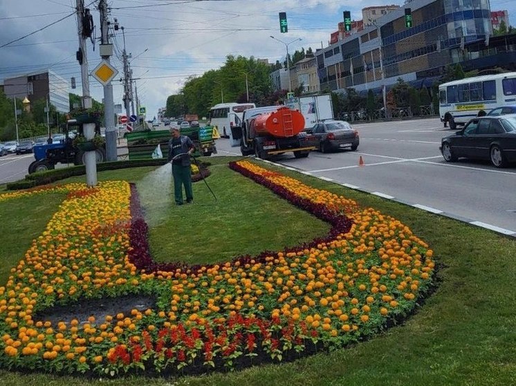 В Ставрополе из-за жары увеличили интенсивность полива городских газонов