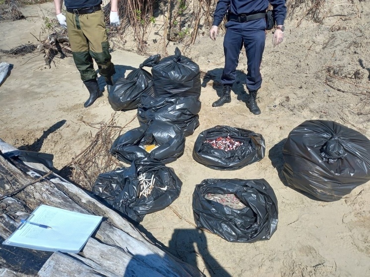 Пробирки с кровью убрали с берега Оби под Томском