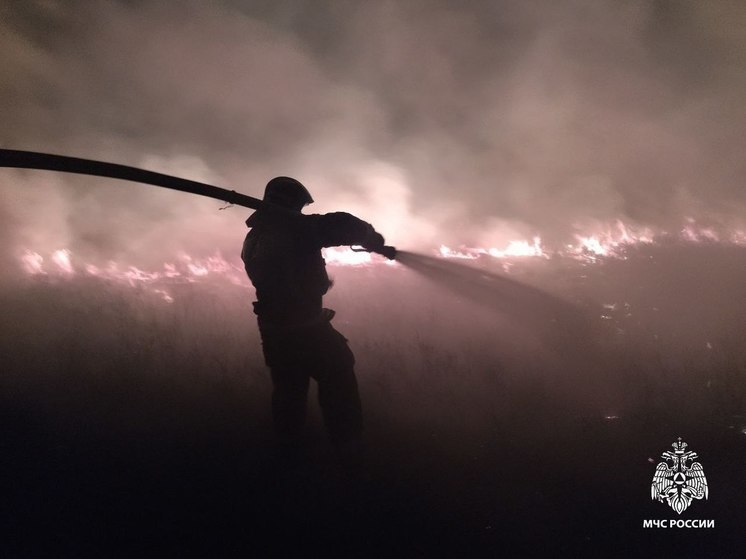 В Херсонской области ликвидировали девять пожаров