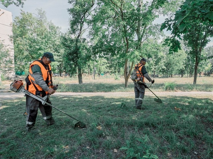 В Мариуполе усилили работу по покосу сорняков