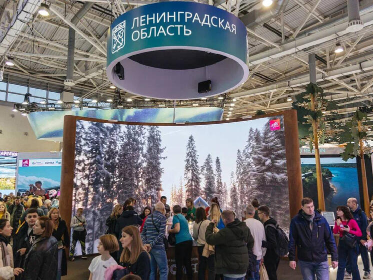 «МК в Лен­области» вспомнил, чем и как привлекала гостей Ленинградская область на длившейся несколько месяцев выставке