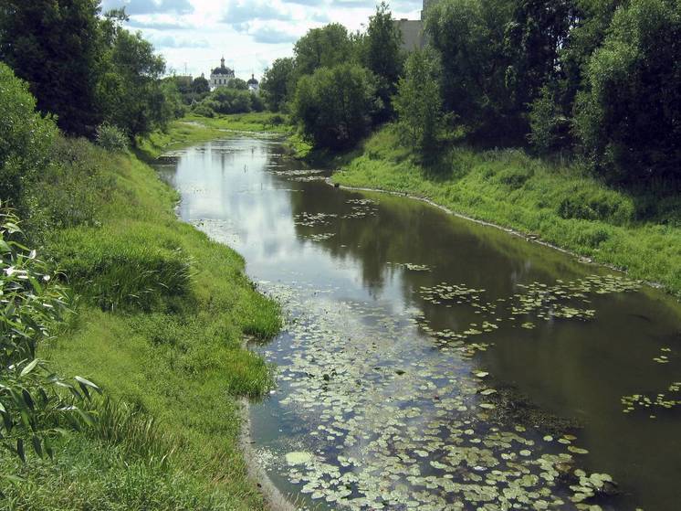 Прокуратура опротестовала ликвидацию семи парковых зон в Богородском