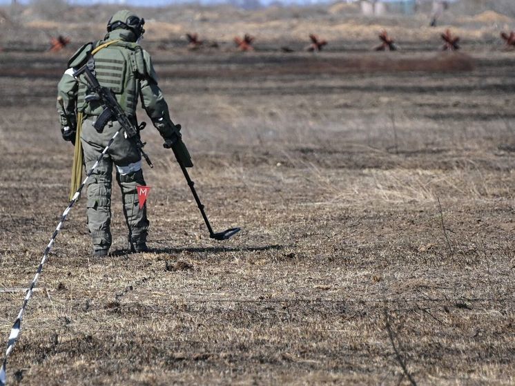 ВС РФ продолжают разминирование Запорожской области