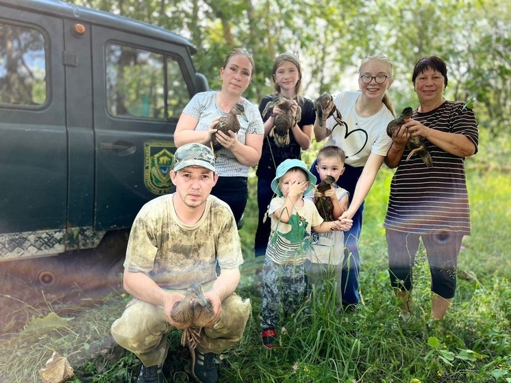 Владимирские госохотинспекторы выпустили 1650 особей молодняка кряквы