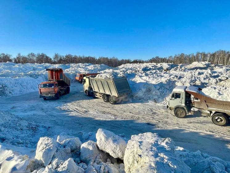 В Челябинске возведут новую снегосвалку