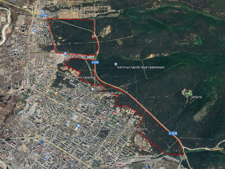 Охраняемый лесопарк предложили сделать от Соснового бора до Северного в Чите