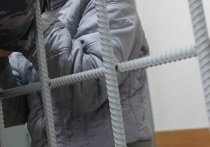 Государственный обвинитель попросил в суде назначить жителю Екатеринбурга 1991 года рождения, который приколотил ноги девушке к доске и поджег ее, 12 лет лишения свободы