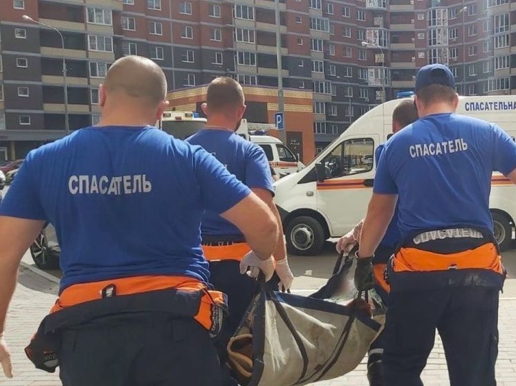 Двоих людей помогли доставить в больницу подмосковные спасатели