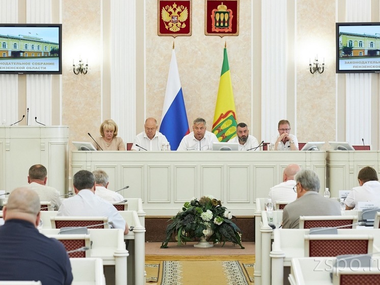 Председатель ЗакСобрания региона Вадим Супиков принял участие в совместном заседании парламентских комитетов