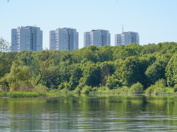 В Туле появилась новая услуга "займу беседку" на Воронке