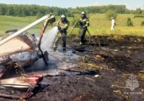 Легкомоторный самолет разбился неподалеку от Камского Устья.  