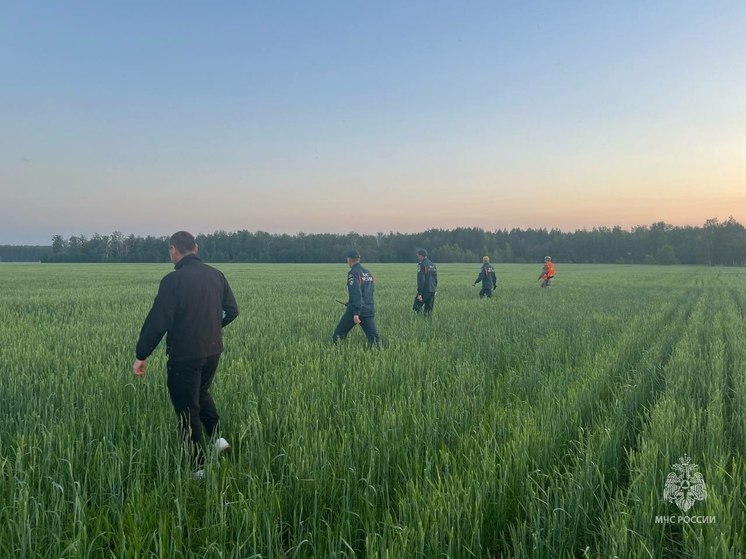 В Еткульский район на поиски подростка приехали волонтеры из соседних регионов