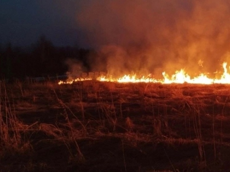 В Ростовской области полыхает сухая трава в хуторе Мержаново